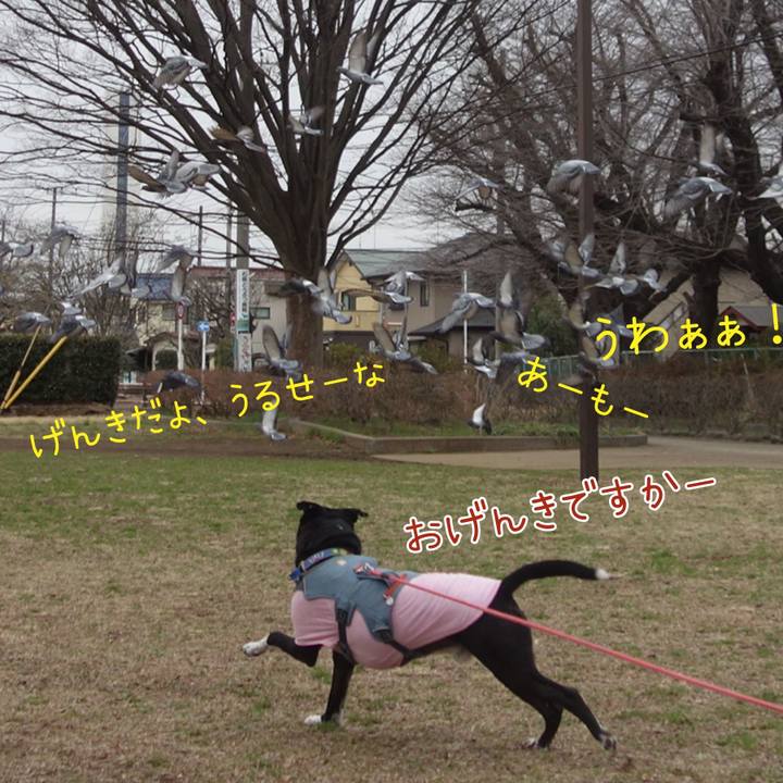 F7766036 f00c 4c8b ba31 73cd9f939b7e 1709601595039