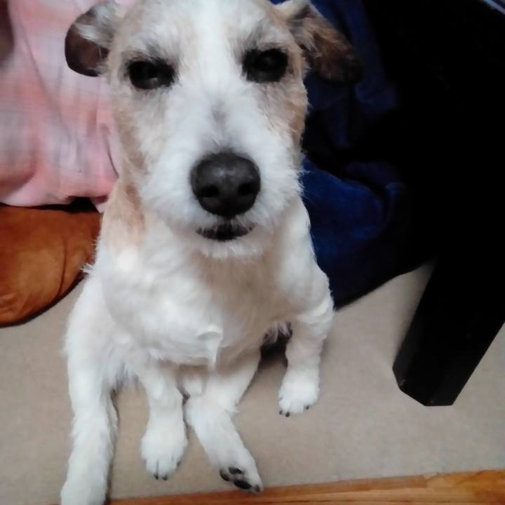 F776b230 ff78 47c9 a1d0 2ece7ad066ff 1585228594951