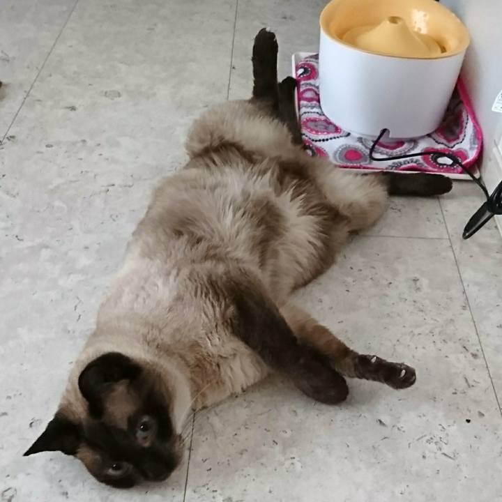 F776fb14 18df 4d7a 8a68 8b6e1f0a15af 1531392951125