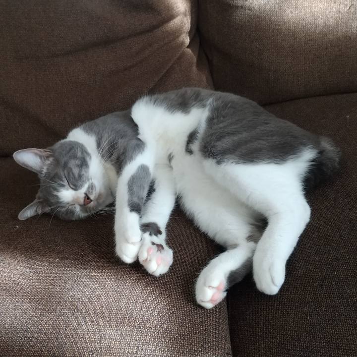 F77701ec 6721 4d9c bd13 6cdf82c70d68 1640411691951