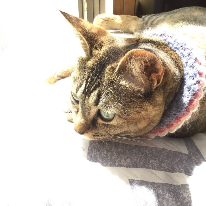 F77706e1 dc1e 4648 93fd bc6327004576 1619745709329