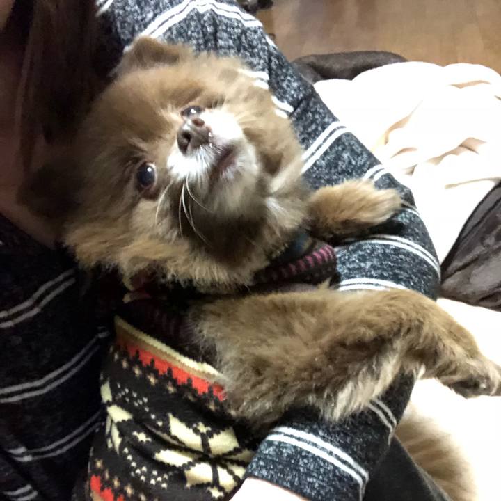 F7770dd9 6a11 4193 85a8 b0ff674724db 1542669220316