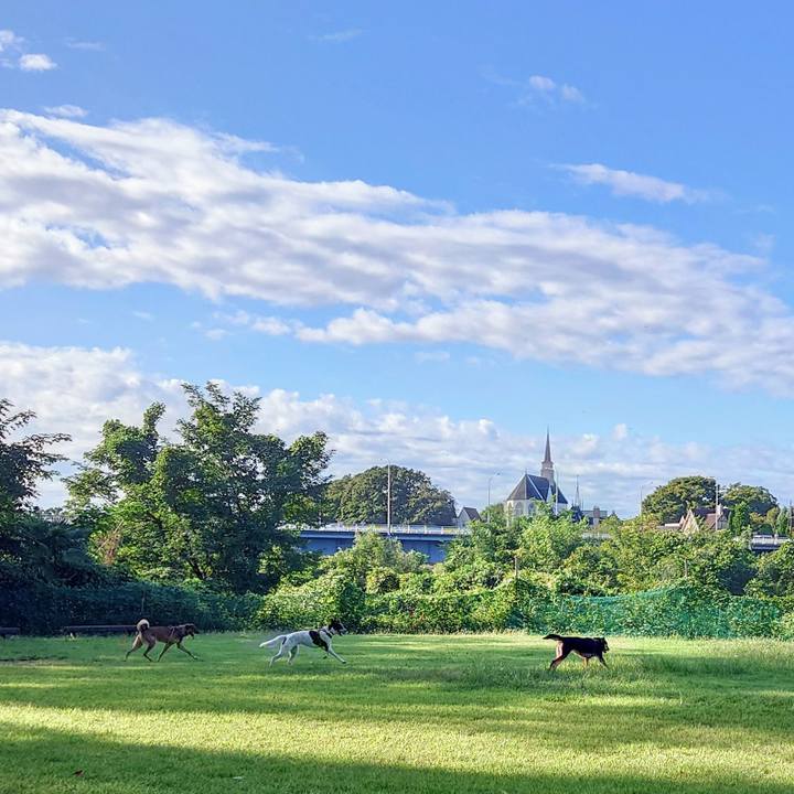 F777109e ad1c 4b73 a032 6ddd53af291c 1727068881012