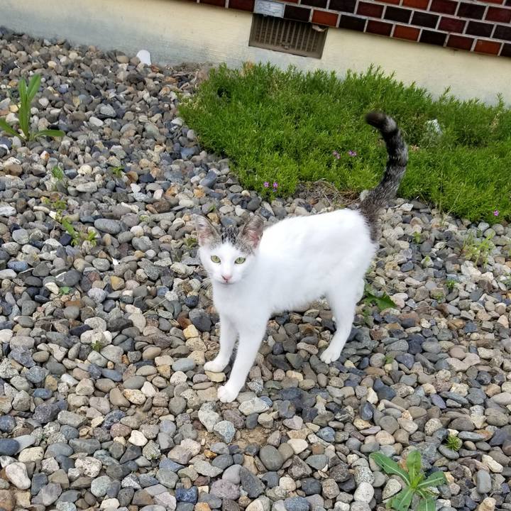 F7771f67 5374 4d72 92f2 ae6993e7f8be 1655646515471