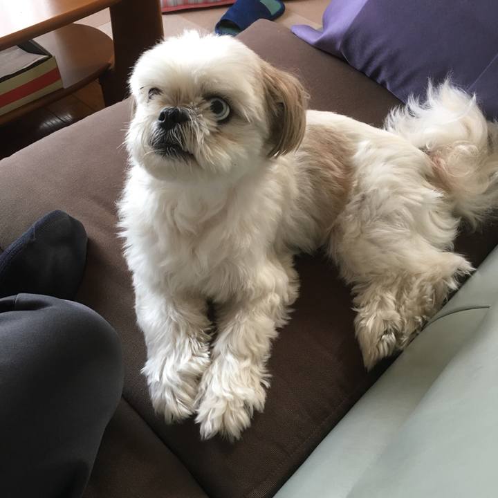 F7772b95 9a3e 4a32 811e 79d6412e4cc3 1531635179567