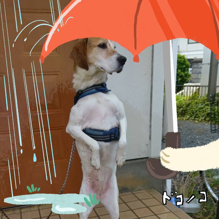 F7775478 f20e 4810 a8a2 0e425a10f802 1749181098488