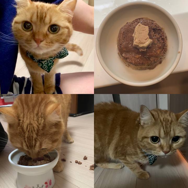 F777b7c6 0a7d 4d52 ae61 7266bd1bd969 1568810916095