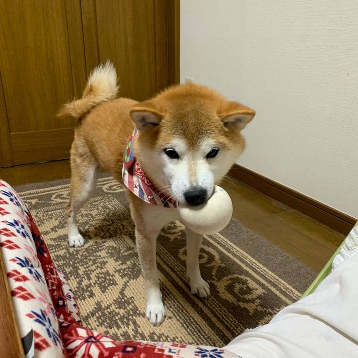 F777c577 b184 4723 bffc c856df776132 1640859874905