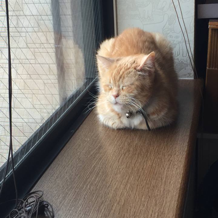 F777e329 0eb2 444d afda e17f2b2cecc4 1559373277358