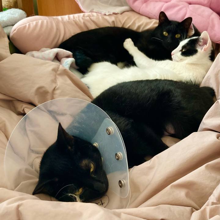 F7783194 8a5f 44b2 9348 c10219b54e14 1645846629597