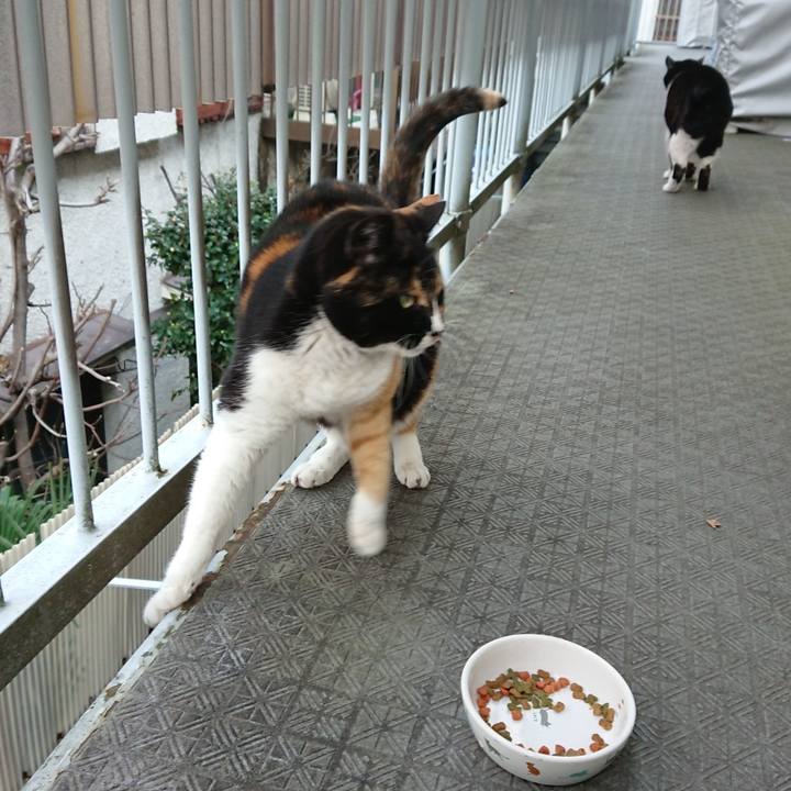 F7783b61 64bb 4c38 9705 ecdcc7bf8199 1648113278987