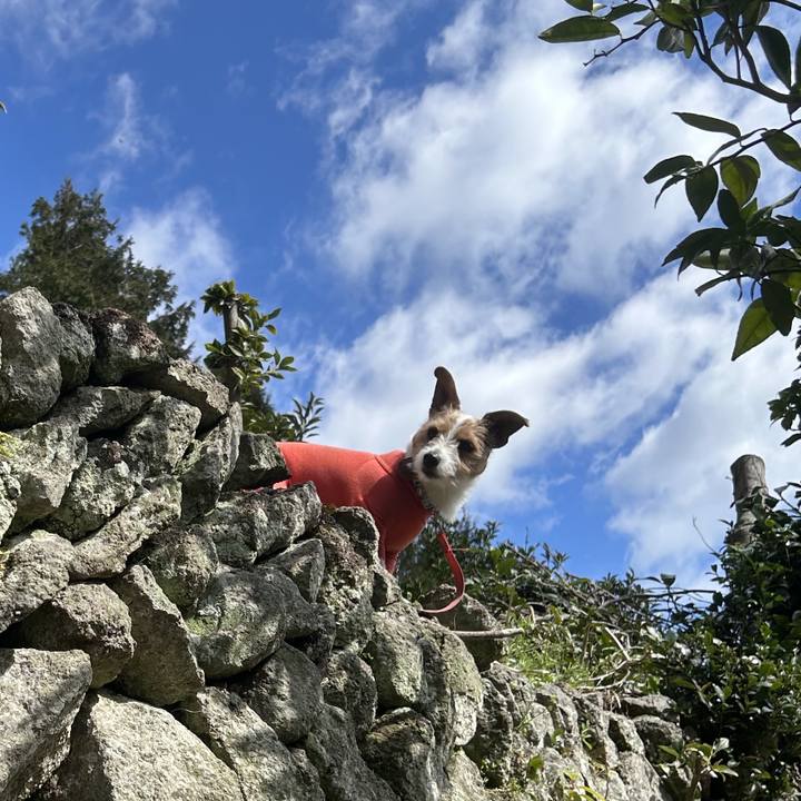 F7784ac3 2e1b 4777 ad85 b5ad48d35b31 1772618947795