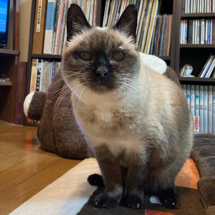 F778605b b0ac 4db9 9af5 4f83c8588eb4 1645490898605