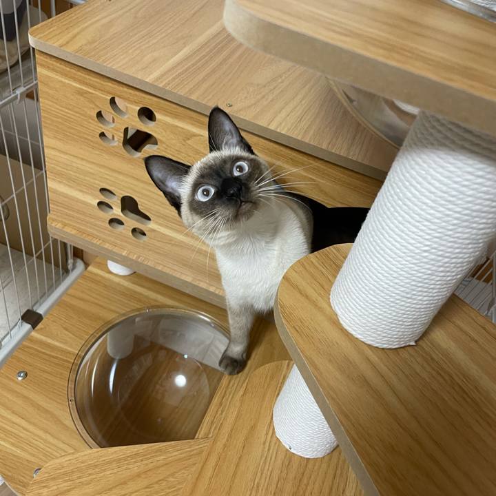 F7787207 b20f 4e54 986c ff9ea9f4faf2 1700508910954