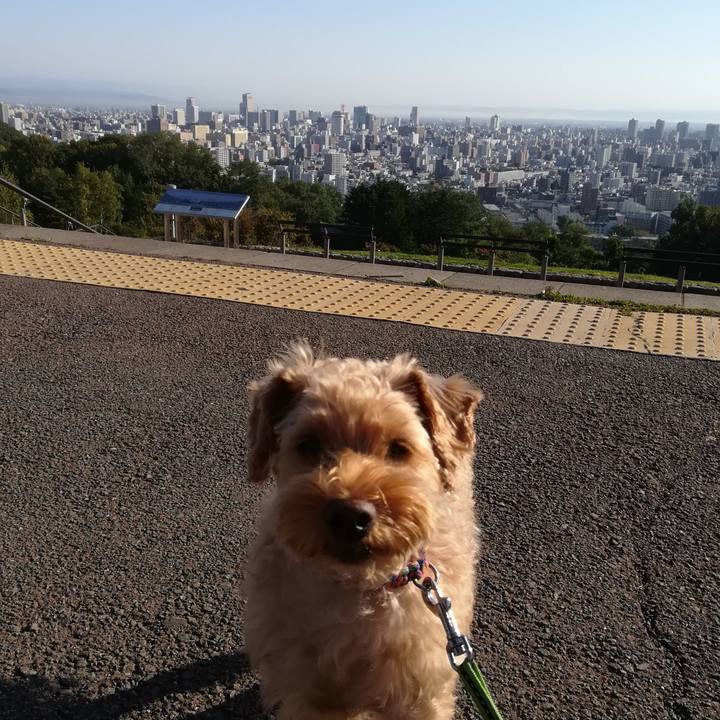 F778a863 4205 4dac 9451 8c4d107abb3f 1569631802555