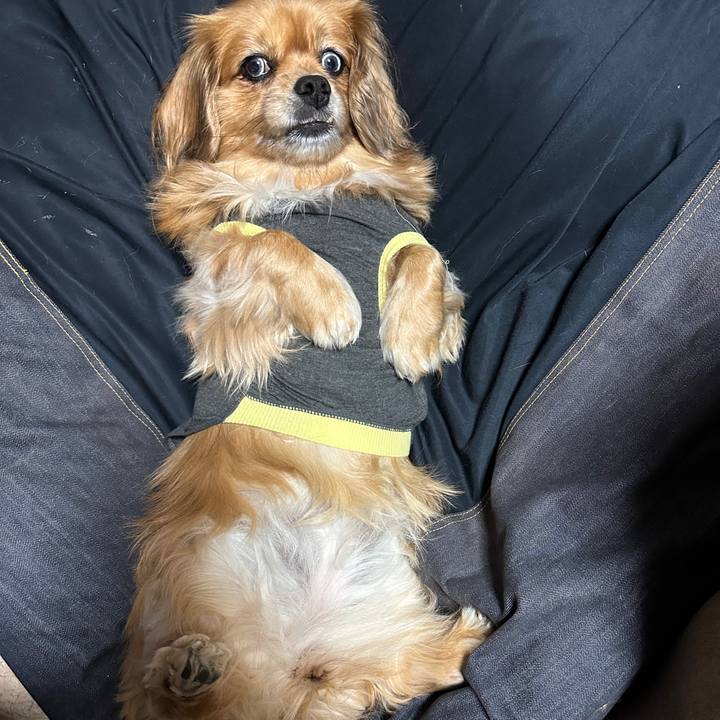 F778ad53 0971 435a abe0 54bb32c7dbe4 1676931768317