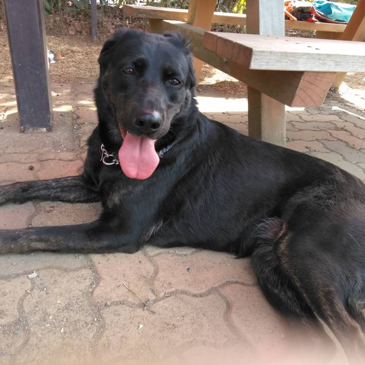 F779a04b b06a 4246 93ac 2858dcdf6d4b 1550982744863