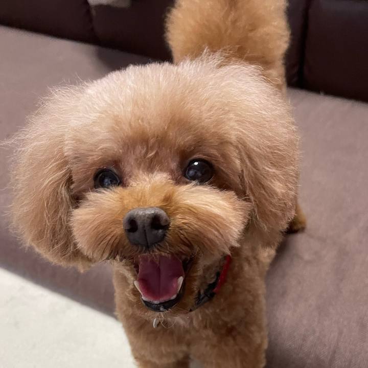 F779dcb7 6c40 4b72 854e 039ada446145 1668381184071