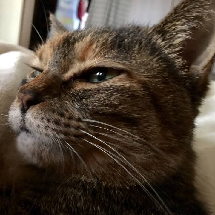 F779ddbc ddd7 4c0e 8798 762a46ec4f60 1589867441836