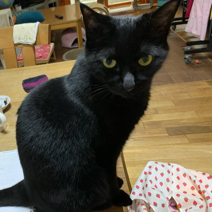 F77a485d 5728 4cfb a882 42eee890f87b 1620960184847