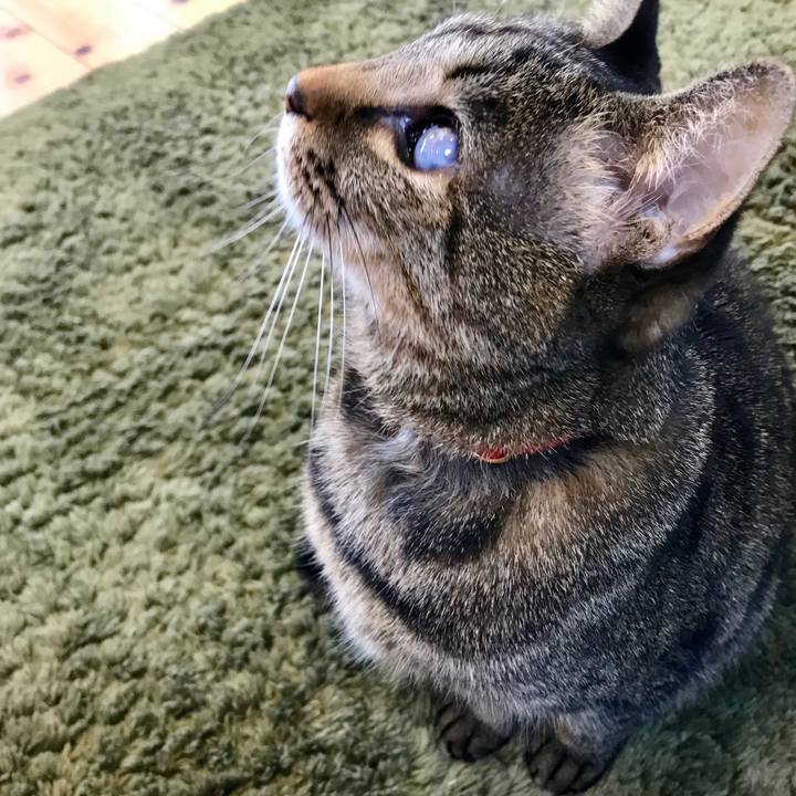 F77b16c7 0e32 437e 9059 922ef755d52e 1552443214335