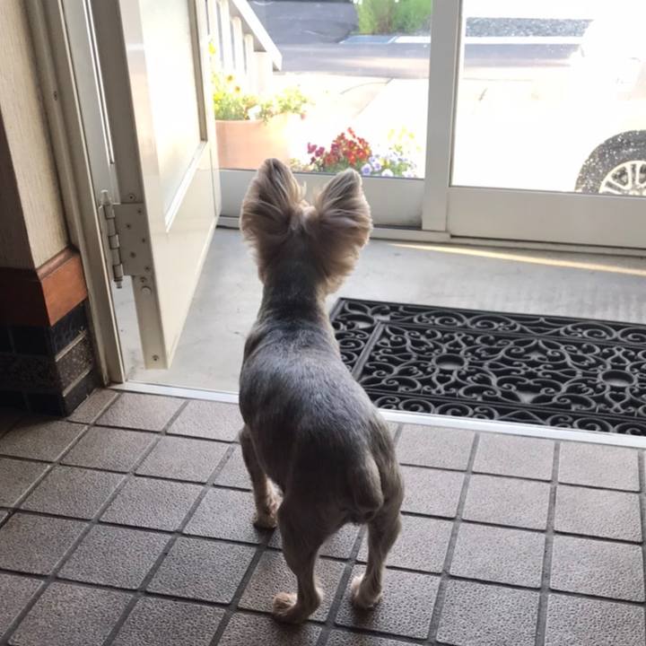 F77b229e a131 47a2 be50 c1b374a1af29 1591782927350