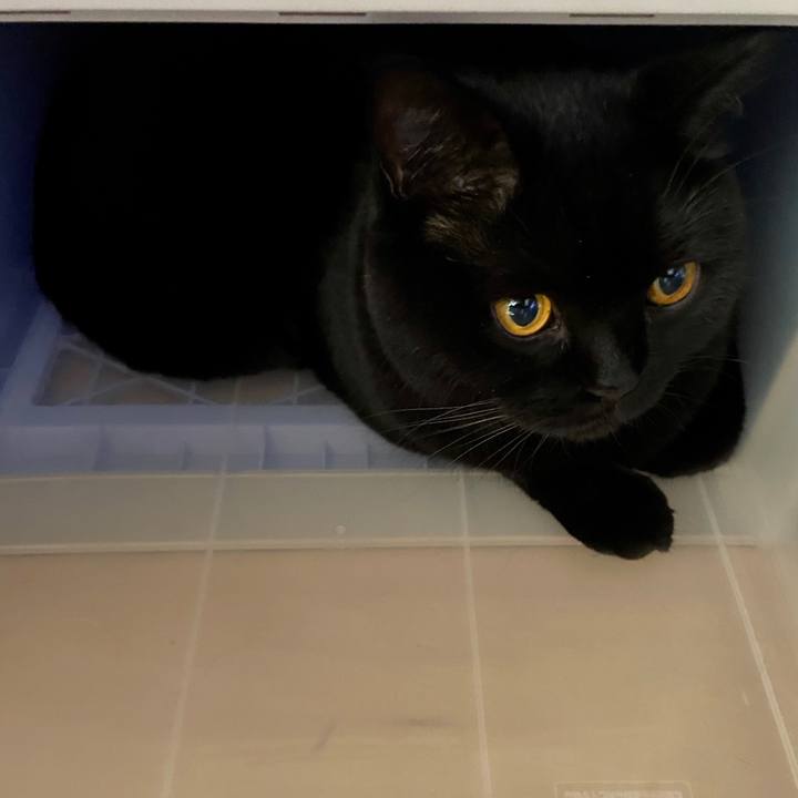 F77b5079 e0e2 4665 a698 8df5aa138b0f 1603098768442