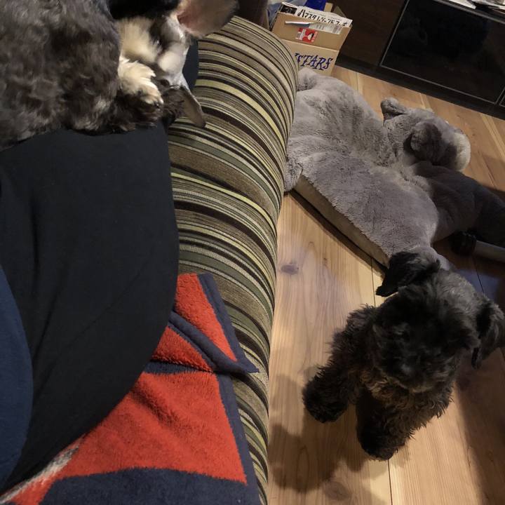 F77b5761 71e8 4927 b995 020ac6de8c4a 1521144618572