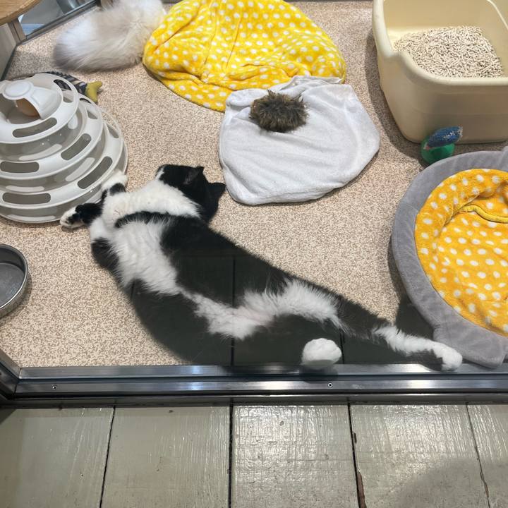 F77b5c58 b454 46ae 8460 6801fa055b4e 1691911025312