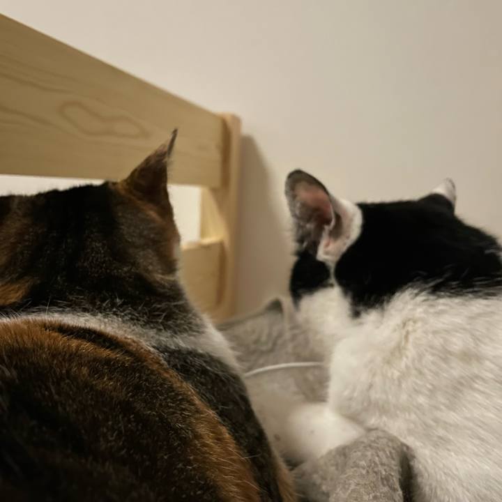 F77b77a0 464c 45a8 9986 98f2825e4edf 1678741784542