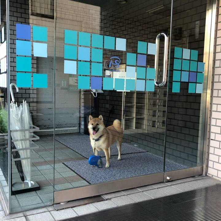 F77b91e6 52e9 4d2c 9052 7bec2d3421c6 1599974691981