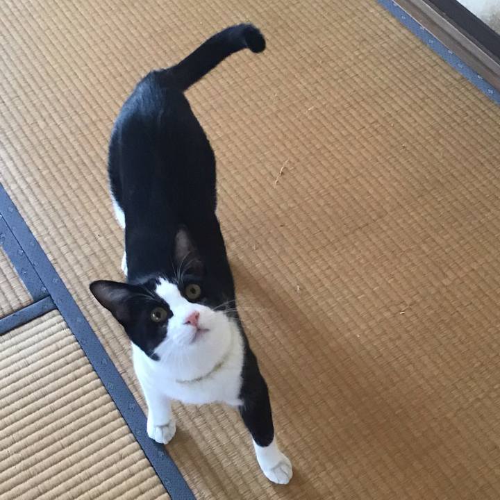 F77babba 5b13 4802 a068 0b805edf54b4 1649496723721