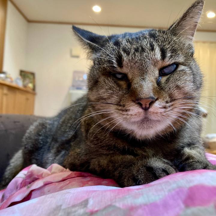 F77babe9 7de0 4168 be44 100fcb8ed3d0 1638101220536