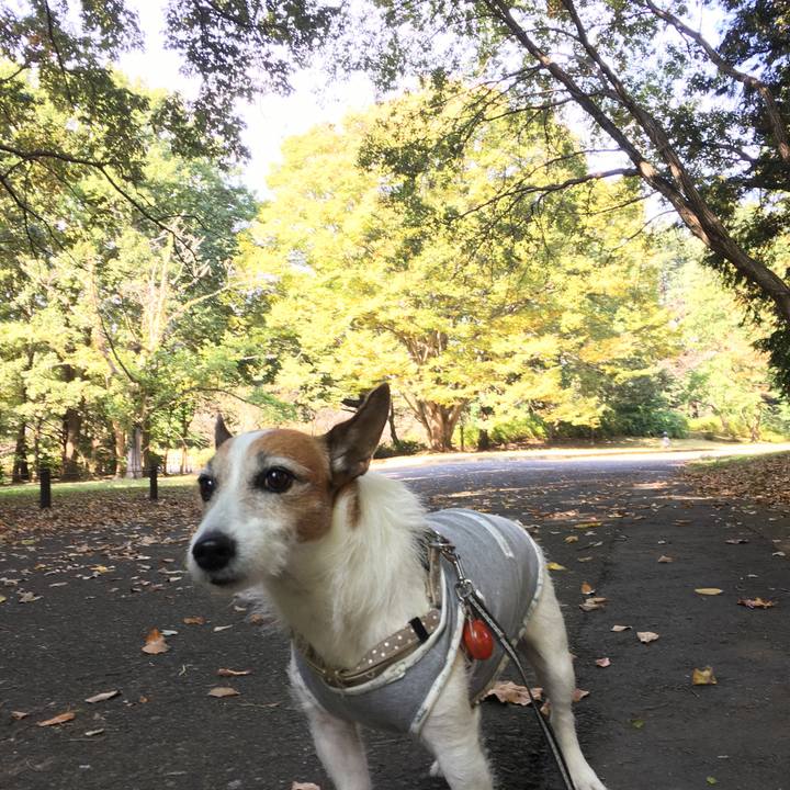 F77bbce0 03d8 4aec 98bc 4ac18f428c7b 1604361523746