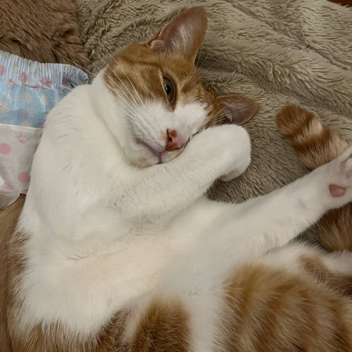 F77c0369 7e81 435e a979 36165d805db5 1666948316126