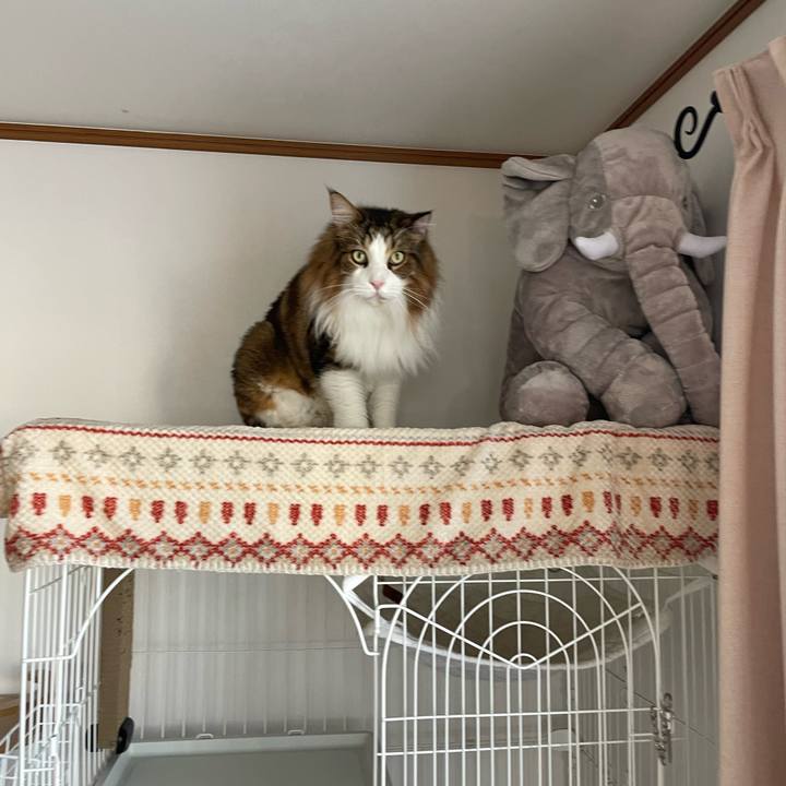 F77c5781 a0f6 4f3f a959 c303cca9a8d8 1757366215541