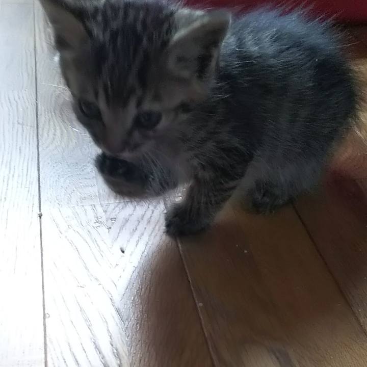 F77c66a0 0469 448f 8f30 2bd52a3967be 1632270615181