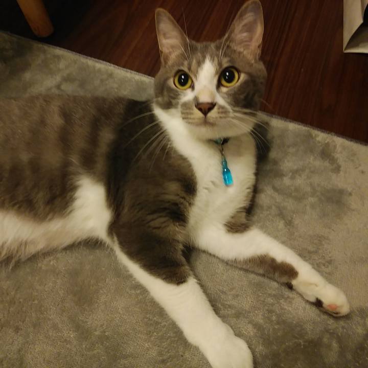 F77c9670 3a16 41bf bb33 288cc720743a 1592831508650