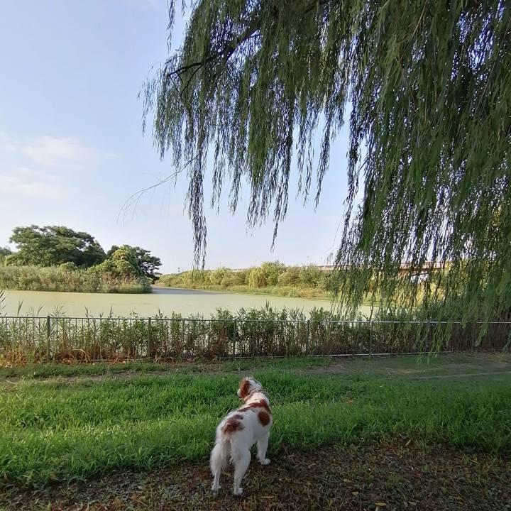 F77ce5e0 87af 4a71 88e7 63521b419980 1598918377895