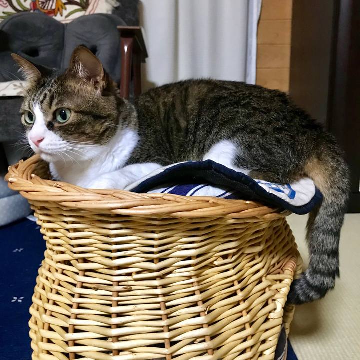 F77cede0 0722 4cf3 8921 779b0023d30d 1528811969163