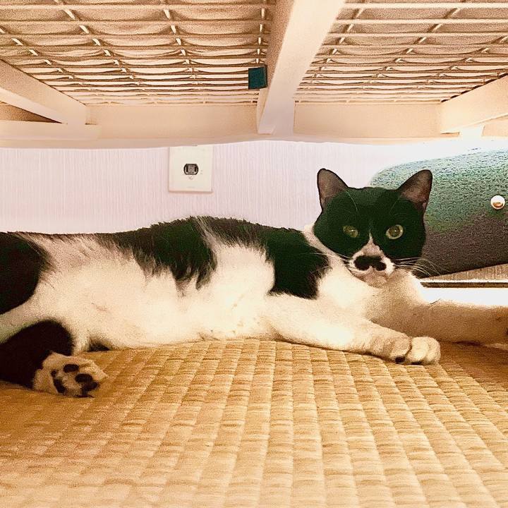 F77d0003 5fac 48d6 bade 69cdf69e80b9 1658102139695