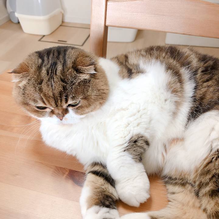 F77d2a82 a483 44ff 9136 7ee6de305b09 1555490364609