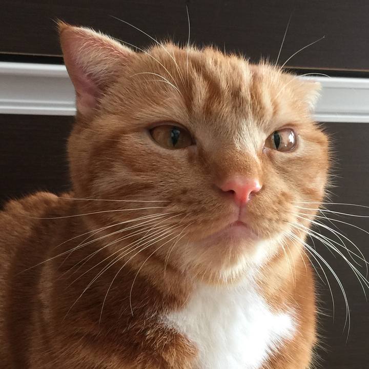 F77d6b7d fadd 47c2 b0b7 4dfc9239ec24 1515892741652