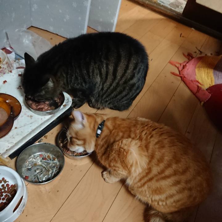 F77dc7af 091e 4bbe 8da1 8a04d9380ca9 1640340343125