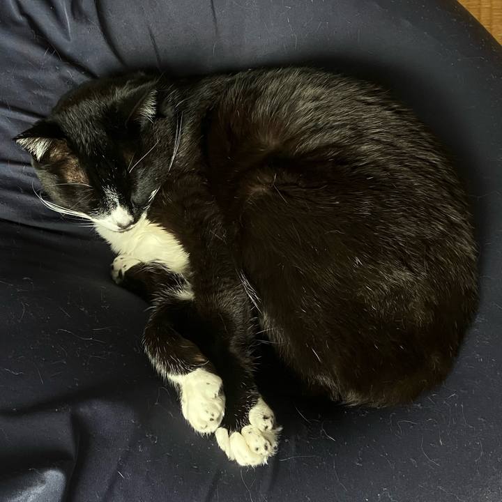 F77e1020 9182 41b7 af43 3868f1bcd7d9 1748835164541