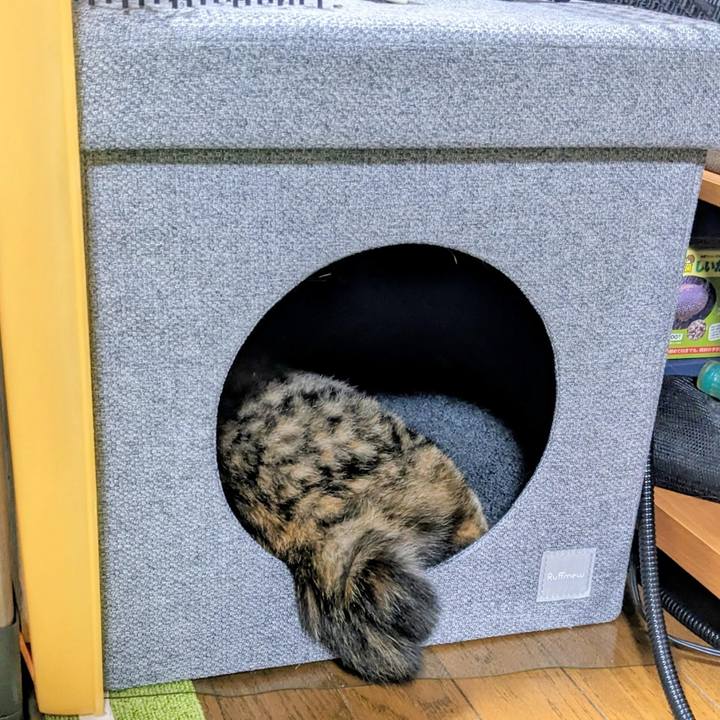 F77e110d 9ae2 499d b956 70702f2a253f 1769267182452