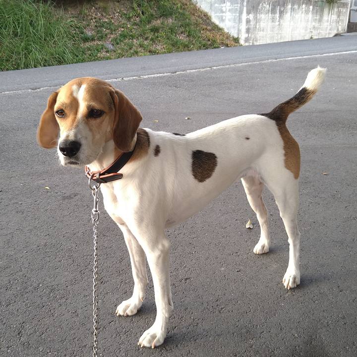 F77e1a0a ca3f 4391 8891 e1c88d4628bb 1633852572717