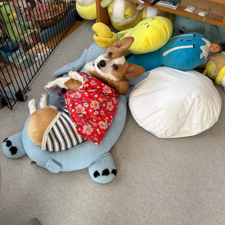 F77e3911 fd2f 46e7 bc86 7fcc4b4440e8 1770694003849