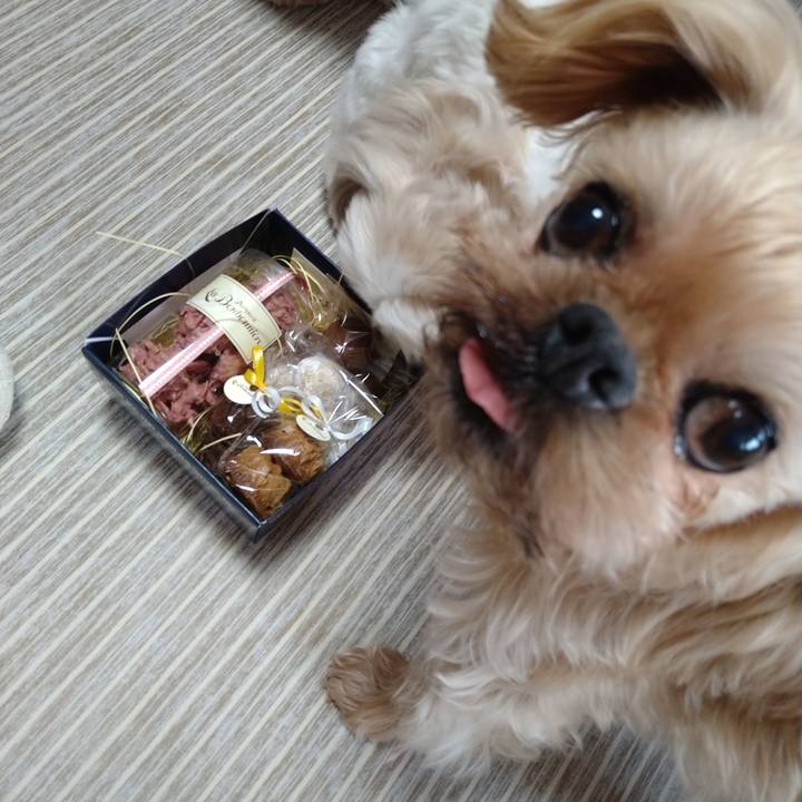 F77e3c8b 50bb 4e4e 8dff b602a498c83b 1613212211683