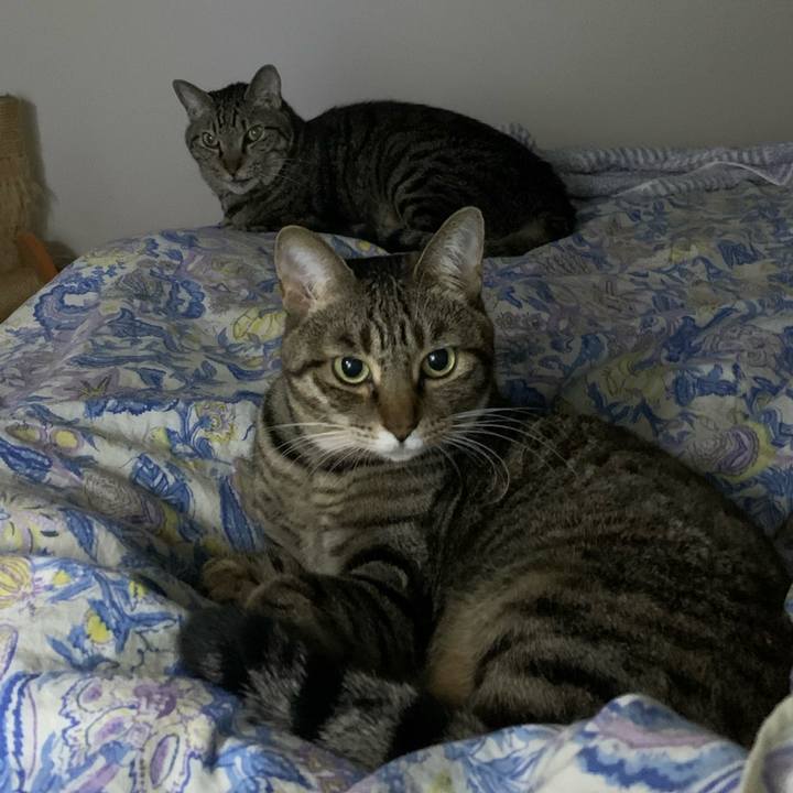 F77e5281 d03d 4645 b503 9cae20c37d13 1763878985918